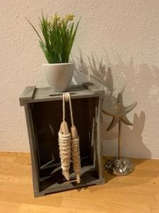 Burgtiefe auf Fehmarn にあるFerienwohnung Ostseeliebeの上に植物が置かれた小さな木箱