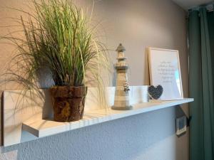 Burgtiefe auf Fehmarn にあるFerienwohnung Ostseeliebeの鉢植えの棚