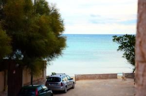 Dos coches aparcados junto a una playa con un perro. en Solaris Guesthouse, en Torre Lapillo