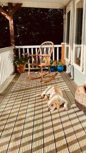 Gallery image of Couples Escape - Summerhouse cabin with hot tub and stunning views in Truro