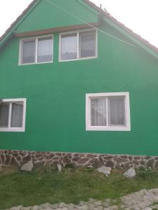 ein grünes Haus mit drei Fenstern an der Seite in der Unterkunft Cabana Narcisa in Arpaşu de Sus