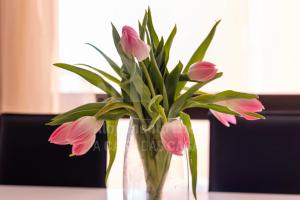 Billede fra billedgalleriet på Ericeira Beach by AcasaDasCasas i Ericeira + 20 billeder