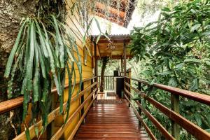 Zahrada ubytování Tominejo Ecolodge - Casas en los árboles