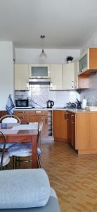 Kuchyň nebo kuchyňský kout v ubytování Apartament nad morzem Diwa