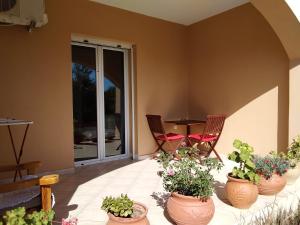a patio with chairs and potted plants and a table at Emmanouil in Kythira