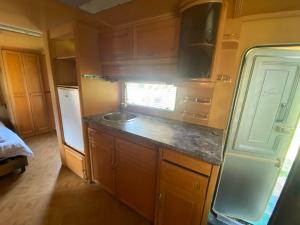 Una cocina o kitchenette en Tomiceva Koliba Rtanj 4