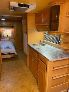 Una cocina o kitchenette en Tomiceva Koliba Rtanj 4