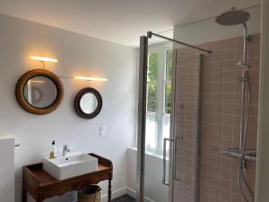 a bathroom with a sink and a shower at La Grimaudière in La Chapelle-sur-Erdre +27 photos