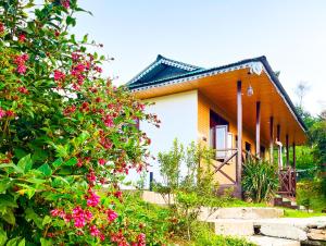 Zahrada ubytování Emaho Boutique Resort