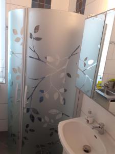 a bathroom with a shower and a sink and a mirror at Honeymoon Guesthouse in Helsingborg +7 photos