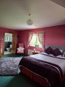 a bedroom with red walls and a bed and a window at Kelmin House in Letterkenny +8 photos