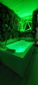a hot tub with green lighting in a building at L'échappée nocturne Nature et Zen in La Guérinière