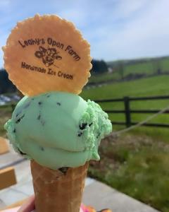 Gambar di galeri bagi Leahys Pod Park di Cork