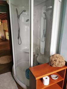 a shower stall in a bathroom with a toilet at B&B VILLA MELOGRANO PONTOGLIo in Pontoglio