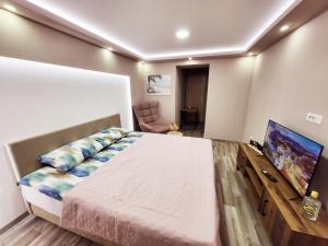 a bedroom with a large bed and a television at Nomad Montenegro in Topla