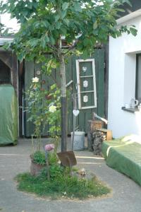 Ferienhaus mit Minibauernhof外面的花园