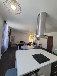 Η κουζίνα ή μικρή κουζίνα στο grand appartement lumineux