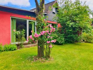 Zahrada ubytování Ferienhaus Seemühl + 18 fotografií