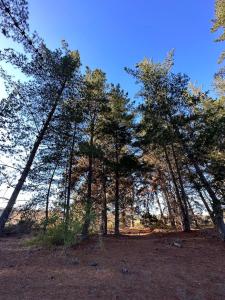 Billede fra billedgalleriet på Casa Familiar Santo Domingo i El Convento + 21 billeder