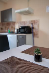 Guesthouse Kristina的厨房或小厨房