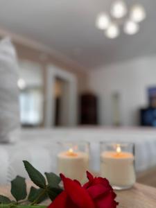 Φωτογραφία από το άλμπουμ του Post apartmani A-1 στο Νόβι Σαντ