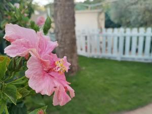A garden outside Casa al Mare con Giardino Privato