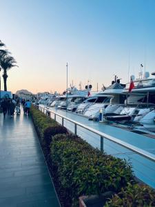 a row of boats parked in a marina at Villamuz in Yalıkavak