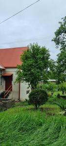 Vrt pred nastanitvijo Hooni_guesthouse