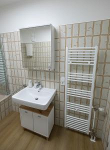 une salle de bains avec un lavabo et un miroir dans l'établissement Über den Dächern von Koblenz, à Coblence 21 autres photos