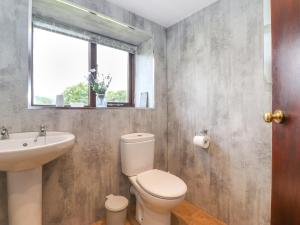 ein Badezimmer mit Toilette und Waschbecken und einem Fenster in der Unterkunft Addylea Cottage in Windermere + 19 Fotos