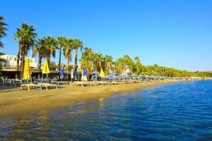 una playa con sillas, sombrillas y palmeras en Hotel Baba, en Gümbet