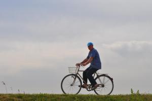 Jízda na kole v ubytování Agriturismo La Barena nebo okolí
