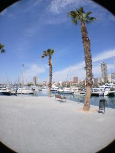 Naturlandskabet i nærheden af den private indkvartering