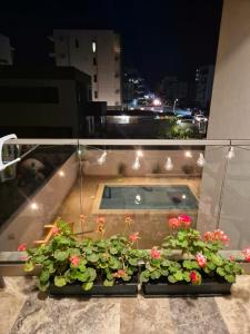 a balcony with two plants and a swimming pool at Seb apartment mamaia nord in Năvodari