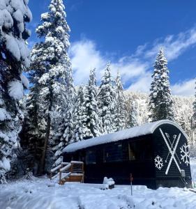 The Ski Haus A Montana Tiny Cabin Forest Retreat v zimě