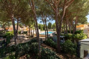 een luchtzicht op een zwembad met bomen bij Cap d'Agde Suit'Appart T2 Pinede 31 M2 in Cap d'Agde