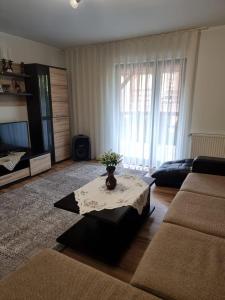 a living room with a couch and a table at Pensiunea Azurul in Sovata