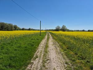 Naturlandschaft in der Nähe der Ferienwohnung