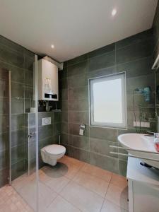 a bathroom with a toilet and a sink at Haus Ehrenbreitstein in Lahnstein +20 photos