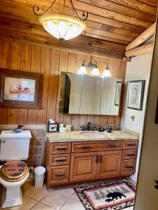 a bathroom with a toilet and a sink and a mirror at Lake Escape To An Elegant 4 Br Home in Huddleston