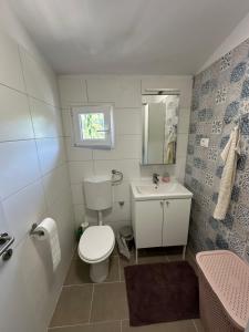 een badkamer met een toilet, een wastafel en een spiegel bij Apartment By the Sea in Milna +33 foto's