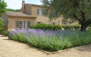 a garden with purple flowers in front of a house at Hôtel La Figuière in Saint-Tropez