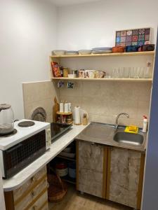 a kitchen with a sink and a counter with a microwave at Apartman Plužine in Plužine +5 photos