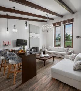 TV a/nebo společenská místnost v ubytování Vintage Suites Trikala