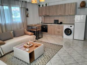 Kuchyň nebo kuchyňský kout v ubytování Savvas Luxury Apartment