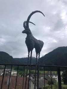 山景或在公寓式酒店看到的山景