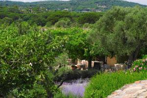 a view of a garden with trees and a river at Hôtel La Figuière in Saint-Tropez