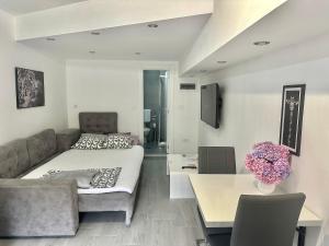 Μια τηλεόραση ή/και κέντρο ψυχαγωγίας στο Apartment Diamond -modern and lovely seaside studio apartment