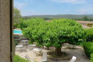 a large tree with tables and chairs next to a pool at Hôtel La Figuière in Saint-Tropez