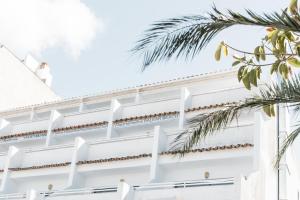 a white building with a palm tree at Apartamentos Balear Beach in Palmanova